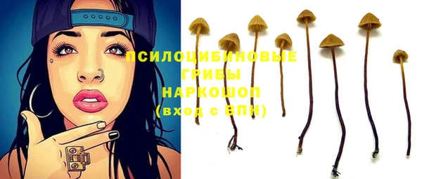 трава Алзамай