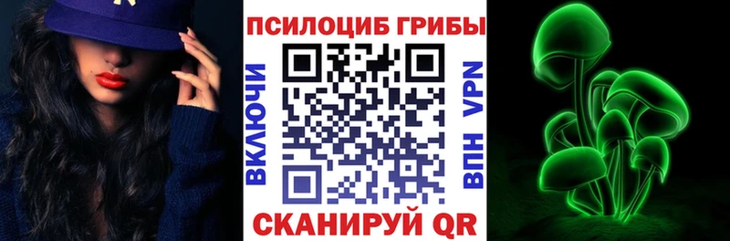 магазин  наркотиков  Черняховск  Псилоцибиновые грибы Psilocybe 